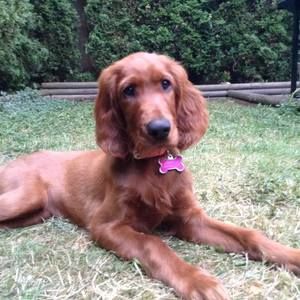 Meet your Posher, Kimberley